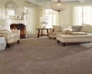C-Tufted Carpet-3